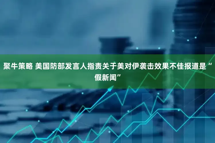 聚牛策略 美国防部发言人指责关于美对伊袭击效果不佳报道是“假新闻”