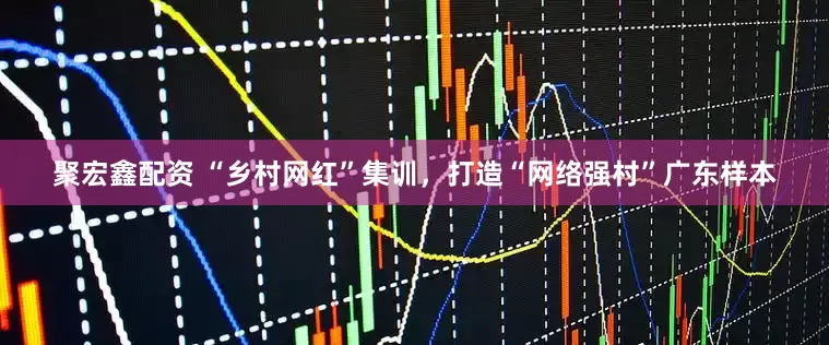 聚宏鑫配资 “乡村网红”集训，打造“网络强村”广东样本