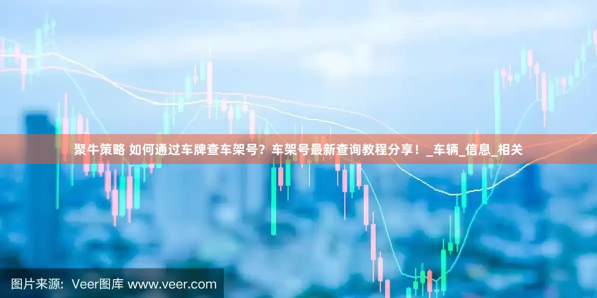 聚牛策略 如何通过车牌查车架号？车架号最新查询教程分享！_车辆_信息_相关