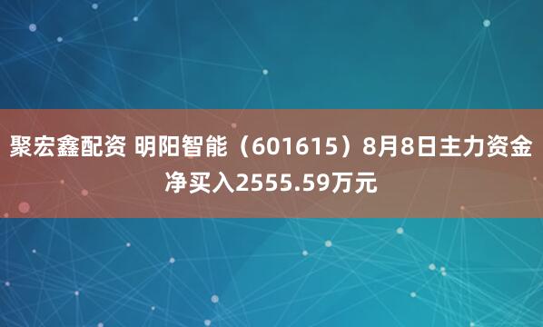 聚宏鑫配资 明阳智能（601615）8月8日主力资金净买入2555.59万元