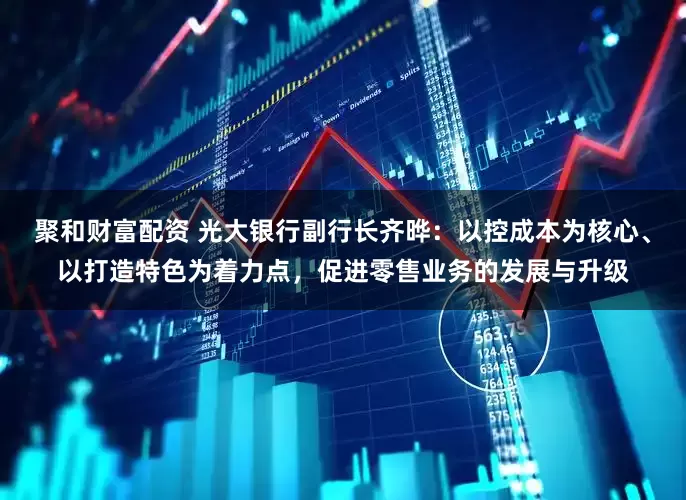 聚和财富配资 光大银行副行长齐晔：以控成本为核心、以打造特色为着力点，促进零售业务的发展与升级
