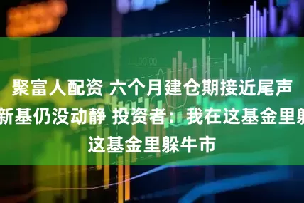 聚富人配资 六个月建仓期接近尾声 徐彦新基仍没动静 投资者：我在这基金里躲牛市