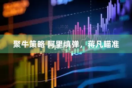 聚牛策略 阿里填弹，蒋凡瞄准