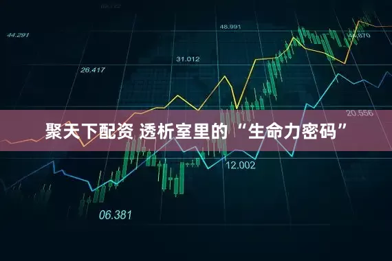 聚天下配资 透析室里的 “生命力密码”