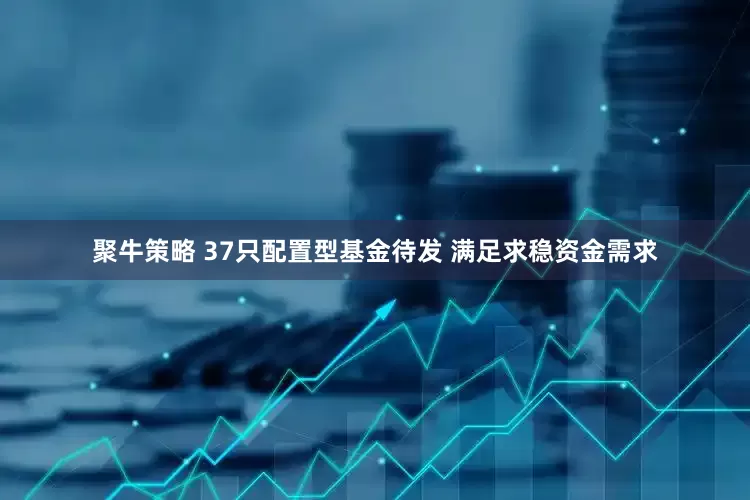 聚牛策略 37只配置型基金待发 满足求稳资金需求